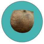 Arcaraz - edad del bronce