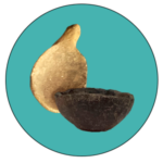 Enlace Edad del Bronce