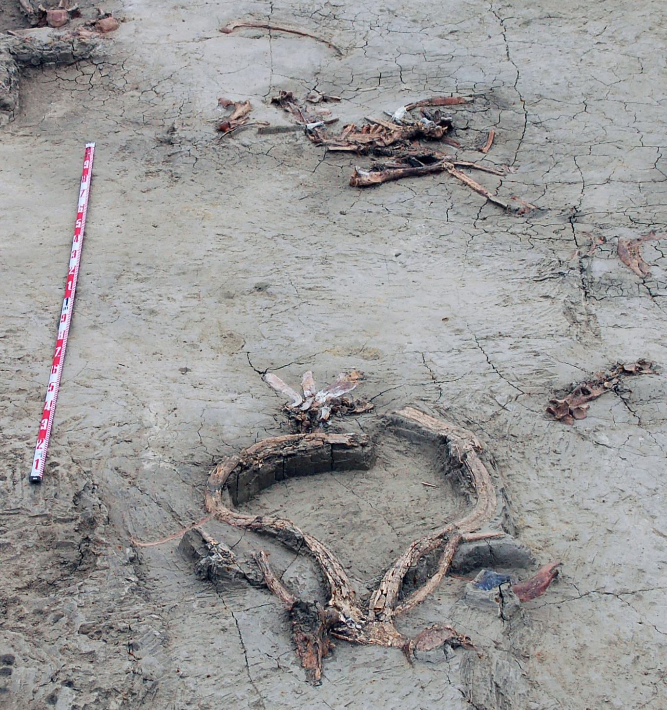 Yacimiento de PRERESA