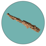 Puente Aldehuela - enlace otras piezas