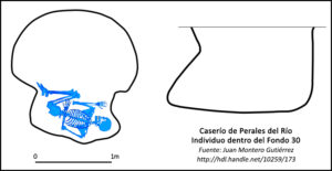 Caserío de Perales - individuo Fondo 30 Caserío de Perales - individuo Fondo 30