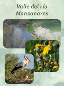 Valle del río Manzanares